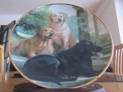 £9.99 • Buy Golden Labrador Dog Plate - Canine Companions - Nigel Hemming - Franklin Mint