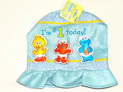 Sesame Street Beginnings 1- Child  Felt Birthday  Hat-  Party Supplies  • $6.99