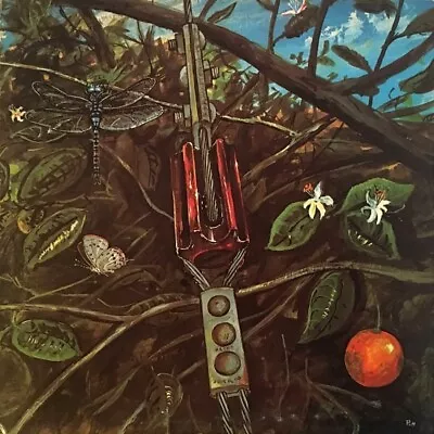 Dragonfly Self-titled Album LP Vinyl 1968 Psych Htf The Legend Megaphone MS-1202 • $35