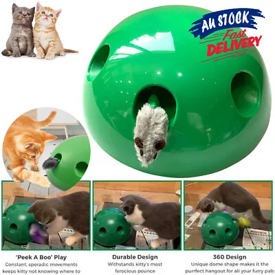 $24.95 • Buy Interactive Pet Toys Play Mouse Motion Cat Tease Electronic Toy ACB#