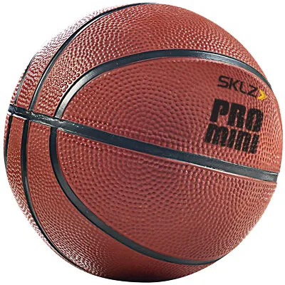 SKLZ Pro Mini Hoop Basketball - Orange • $8.99