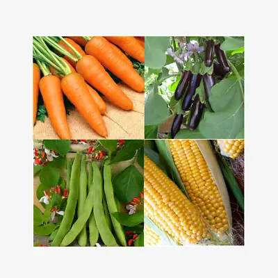 Vegetable Seeds - Large Variety - Grow Your Own - Free P & P - Up To 30% Off • £0.99