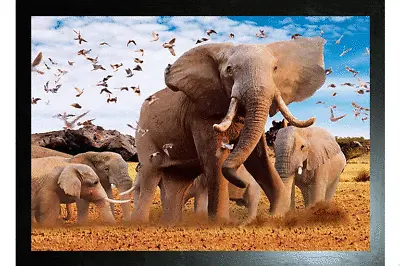 BLACK FRAMED ELEPHANT AND BABIES - 3D ANIMAL PICTURE 425mm X 325mm • £14.95