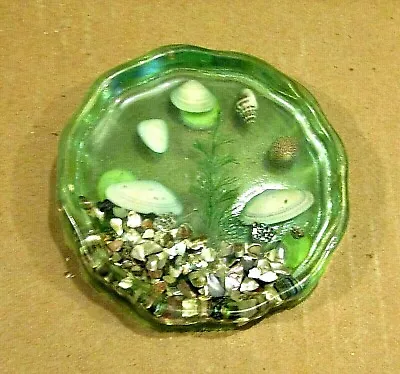Abalone Seashells Stone Pebbles Seaweed Small 4  Acrylic Green Coaster FREE S/H • $15