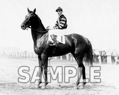  8x10 Photo Man O' War 1920 Belmont & Preakness Winner Thoroughbred Race Horse • $13.45