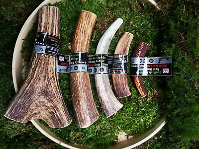 £4.99 • Buy Deer Antler Dog Chew - Long Lasting - Full Of Minerals Calcium -  Naturally Shed