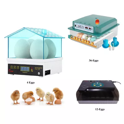 4/12/36 Eggs Egg Smart Incubator Chicken Quail Hatcher Auto Incubators Eggs • $28.99