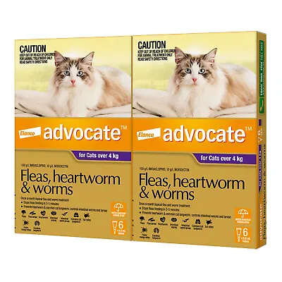 Advocate For Cats Large Over 4kg 12 Pack • $143.99