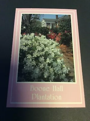 Boone Hall Plantation  Mount Pleasant South Carolina 1990's Vintage Postcard  • $4.99