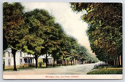 La Porte Indiana~Forested Michigan Avenue~American Square Homes~1909 Postcard • $14