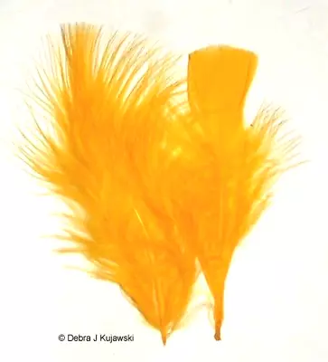 Quality Marabou Feathers GOLD Fluffy 3-8  L  7 Grams Approx 35 Ct • $3.15