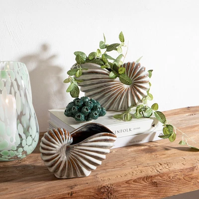 $24.95 • Buy New Habitat Nautilus Natural Wash Shell Bowl