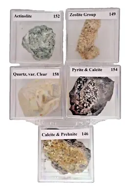 Cabinet Sized Mineral (Lot 13) - 5 Fine Cabinet Specimens • $29.95