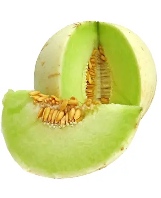 100 Honeydew Seeds Spring Super Sweet Fresh Melon Fruit Non-gmo Heirloom Usa • $2.99