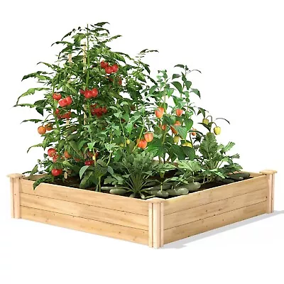 4ft X 4ft Outdoor Pine Wood Raised Garden Bed Planter Box - Made In USA • $147.80