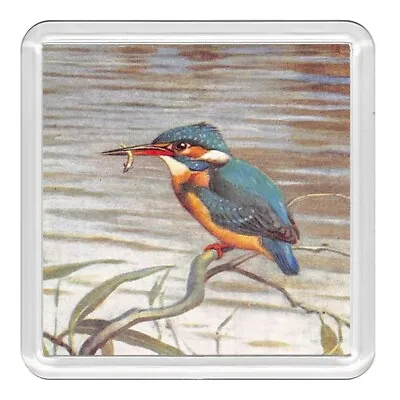 £2.99 • Buy Bird Kingfisher Lovely Acrylic Coaster Novelty Drink Cup Mat Great Gift