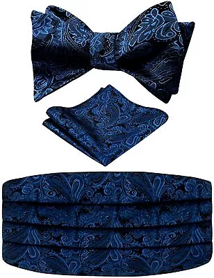 Alizeal Men's Paisley Cummerbund And UNTIED Bow Tie Hanky Set • $42.71