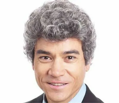 Men Wig Short Grey Mix Curly Fashion Male Cosplay Daily Party Hair Full Wig • $13.99