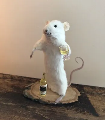 Taxidermy White Wine Mouse Gift Strange Oddities Curiosity Mice Funny Wine Lover • £35