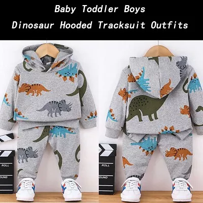 Baby Infant Boys Toddler Dinosaur Outfit Hooded Tops Pants Tracksuit Clothes Set • £12.29