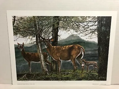 Paul Rankin On A Ridge Deer Stage Hunting Wildlife Art Print Signed AP • $40