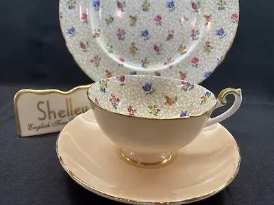 Shelley Floral Chintz  Boston  Footed Cup  Saucer  &  8  Plate -  Gold Trim • $201.40