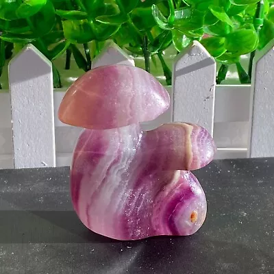 113gBeautiful Natural Rainbow Fluorite Carved Mushroom Crystal Reiki Repair Gem • $5.50