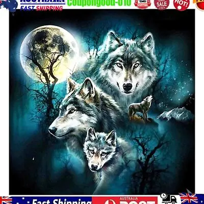 Oil Paint By Numbers Picture DIY Drawing Painting Night Wolf Paint Decor Art • $15.06