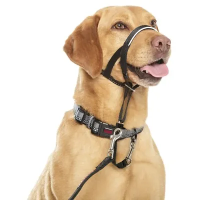 Halti Head Collar Dog Non Pull Training Stops Pulling Kindly - All Sizes - Black • £14.49