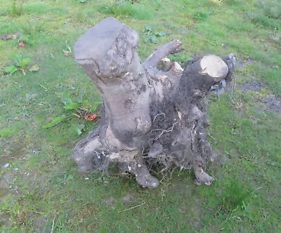 £25 • Buy Tree Stump Root Garden Feature Chainsaw Carving Art Sculpture
