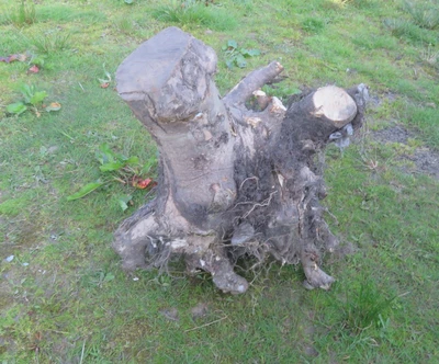 £25 • Buy Tree Stump Root Garden Feature Chainsaw Carving Art Sculpture
