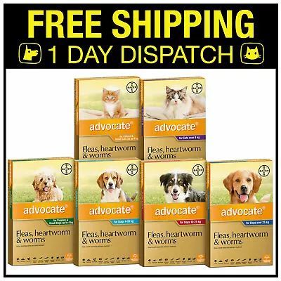 Advocate Flea Heartworm Treatment For Dogs & Cats - 12 Value Pack • $170.79