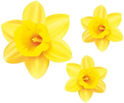 Daffodil Spring Flower Stickers Car Van Wall Art Laptop Wheelie Bin Fridge D • £3.01