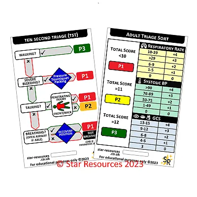 Ten Second Triage ID Badge Flash Card Student Paramedics Ambulance • £3.75