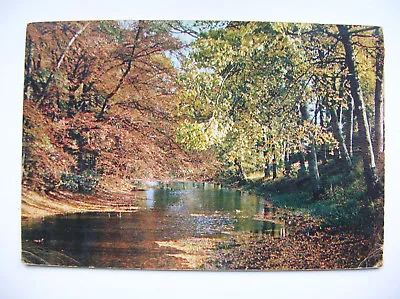 Wensleydale Postcard Yorkshire. (J Arthur Dixon - 1960) • £2.79