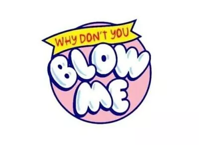 Funny Meme Sticker Why Dont You Blow Me Indie Retro 90s • $2.45