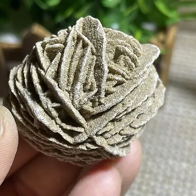 $11.05 • Buy 1pcs Desert Rose Selenite Stone Natural Quartz Crystal Specimen Decor 55g A8