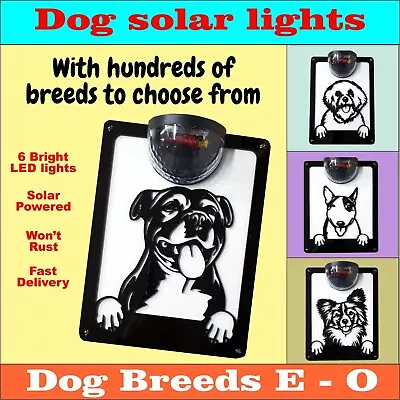 Dog Solar Wall Plaque ( Dog Breeds E - O ) • £27.99