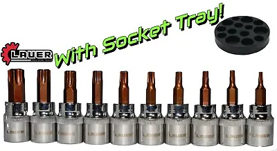 Lauer 3/8  Drive Torx Socket Set 10pc T10 T15 T20 T25 T27 T30 T40 T45 T50 T55 • $23.95