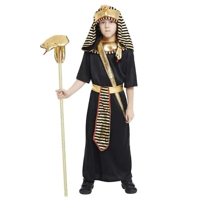 Kids Child Egypt Egyptian King Pharaoh Costume For Boys Halloween Fancy Dress • £12.88