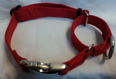 1.5 Martingale Dog Collar  USA Made Tough METAL BUCKLES • $15.95