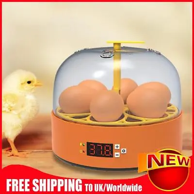 6 Egg Incubator Mini Eggs Incubation Brooder 15W Adjustable Temperature Control • £29.88