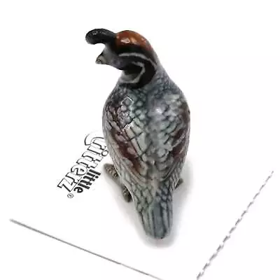 Little Critterz - Gambel's Quail  Sage  Bird - Miniature Porcelain Figurine • $12.99