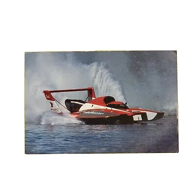 Miss Budweiser Hydroplane Racing Kropfeld Bernie Little Print 1989 Postcard  • $19.99