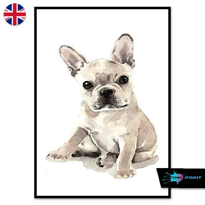 £3.32 • Buy Pug Poster Print A4 A3 Wall Art Decor Beauty Home Fashion Animal 1431