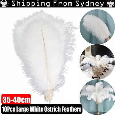 10Pcs Large White Ostrich Feathers Plume Craft Trim Wedding Party Decoration AU • $17.48