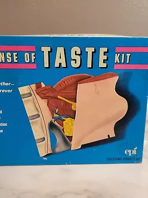 Sense Of Taste Vintage Educational Human Anatomy Kit Model Of The Tounge Throat • $11.82