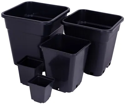 Black Plastic Plant Pots Small Square Seed Flower Planters 1 5.6 11 18 15 Litre • £10.99