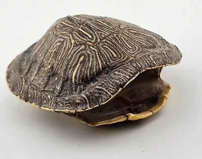 Vintage Genuine Small Turtle /Tortoise Shell Taxidermy 3.5” Decoration Display  • $27.40