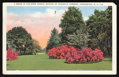 Vintage Postcard - Magnolia Gardens Charleston SC • $14.99